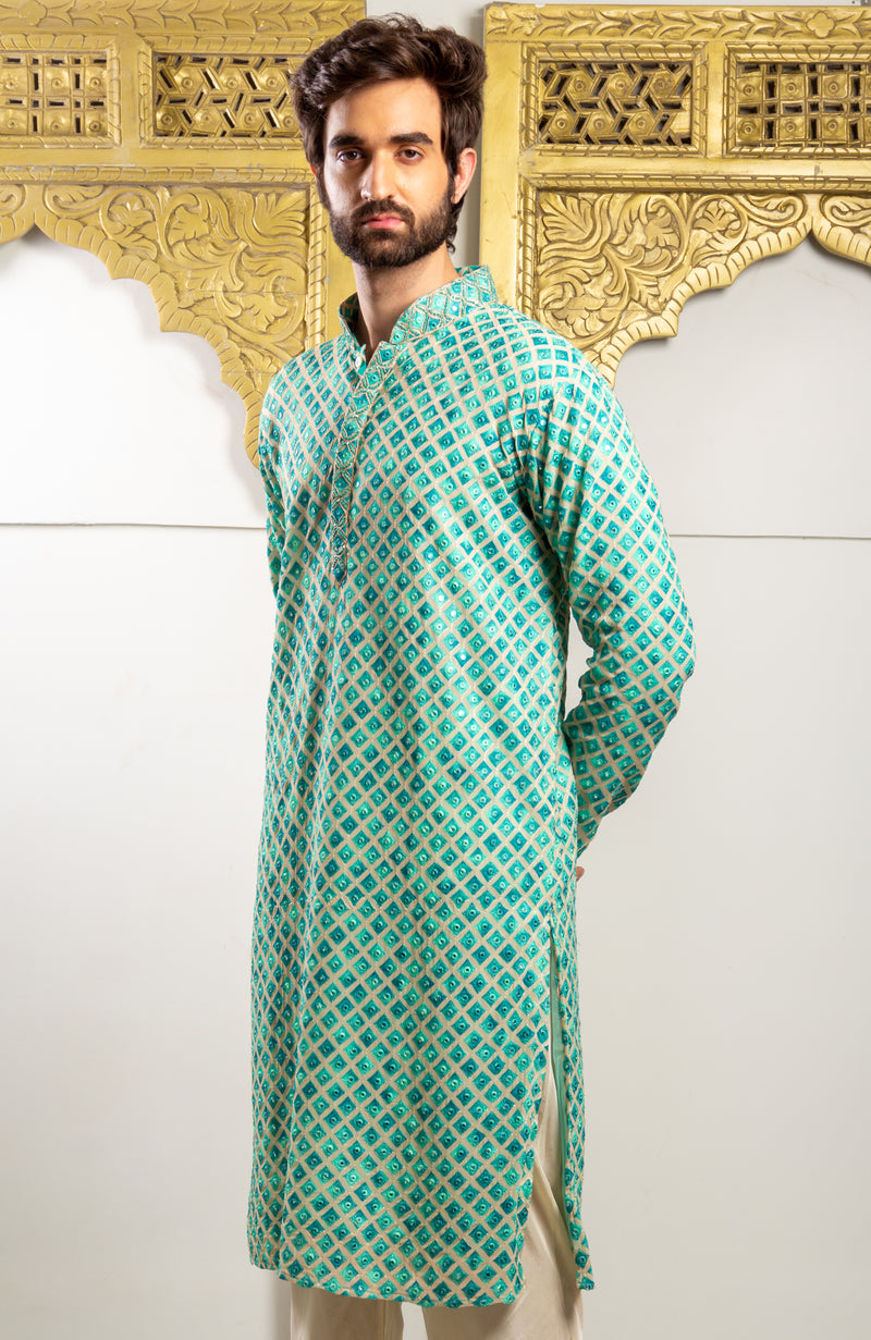 Firoza  Color Printed  Kurta.