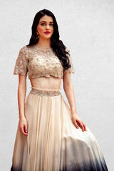 Party/ Evening/ Casual Embroidery Work Gown In Ivory Color