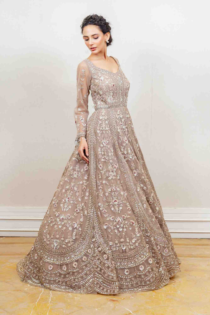 Party Wear Gown - Ethnic Race